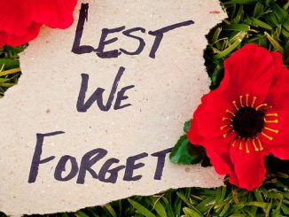 Lest We Forget - Anzac - Rememberance - poppies on grass background