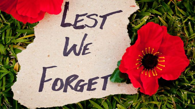 Lest We Forget - Anzac - Rememberance - poppies on grass background
