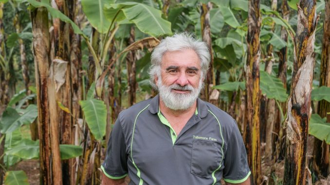 Bill O'Sullivan has a passion for teaching people to grow their own food.