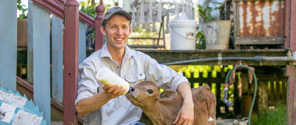 Harry Tommerup and Freda the calf. Photo by Susie Cunningham.