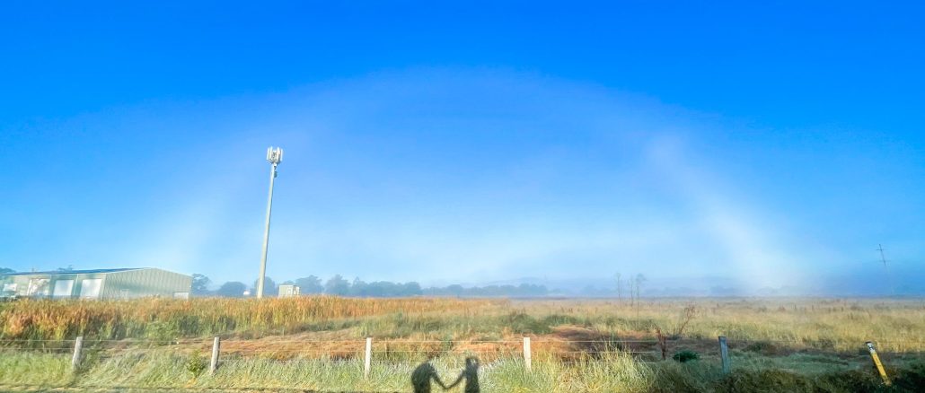 Beaudesert fogbow, 1 May 2023. Photo by Susie Cunningham.
