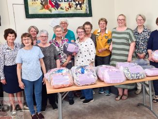 Members of Beaudesert Quilters and Zonta at the Breast Care Cushion Workshop. Image supplied.
