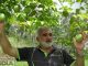 Bill O'Sullivan checks the passionfruit vines