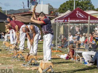 The Woodchop is a feature of the Boonah Show. Image supplied.