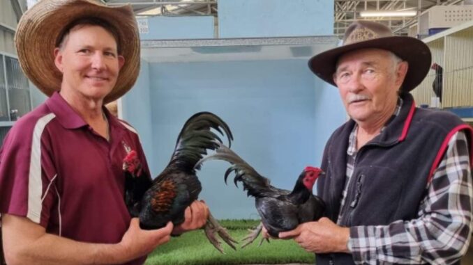 Beaudesert Poultry Club’s Annual Show exhibitors with their prize chickens. Image supplied.