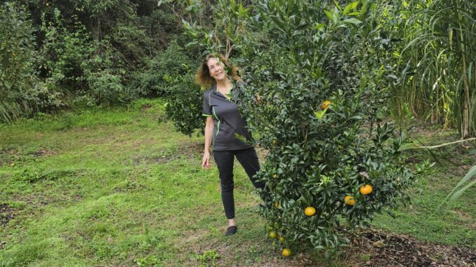 Carol O’Sullivan with a mandarin tree.
