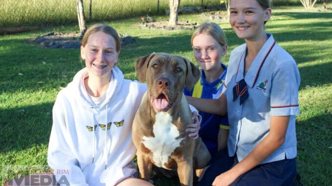 Shelby with Dulcie, Charlotte and Tilly Semyraha