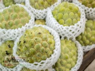 Custard apples