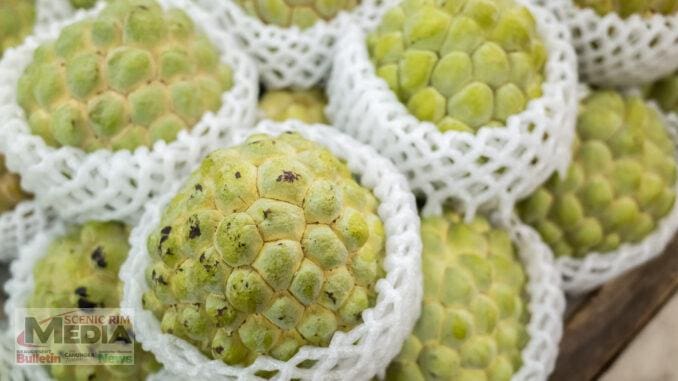 Custard apples