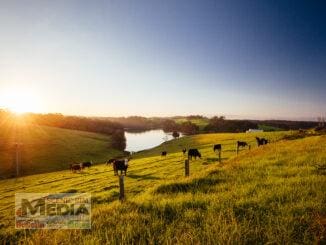 Farmland values in record spike