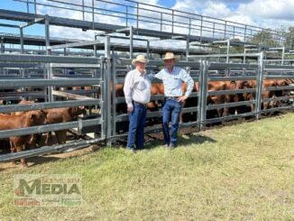 David Jackson of Blue Range Investments, Tarome, pictured with Bartholomew & Co agent Garth Weatherall, sold Santa cows and calves for $1,650