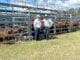 David Jackson of Blue Range Investments, Tarome, pictured with Bartholomew & Co agent Garth Weatherall, sold Santa cows and calves for $1,650