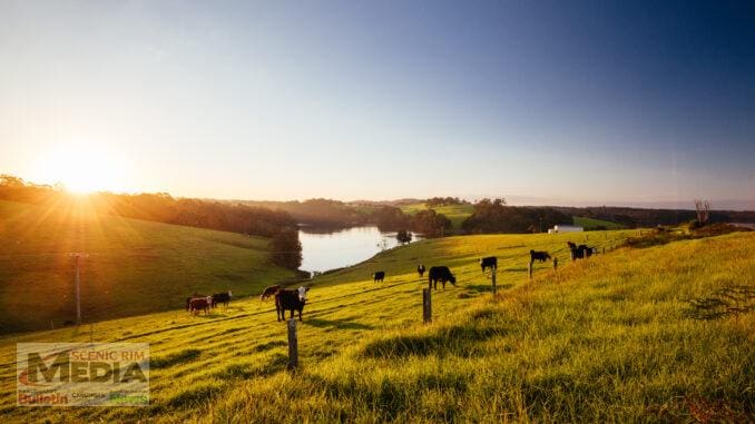 Farmland values in record spike