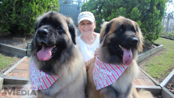 Alice Duffy with Lulu and Breagha